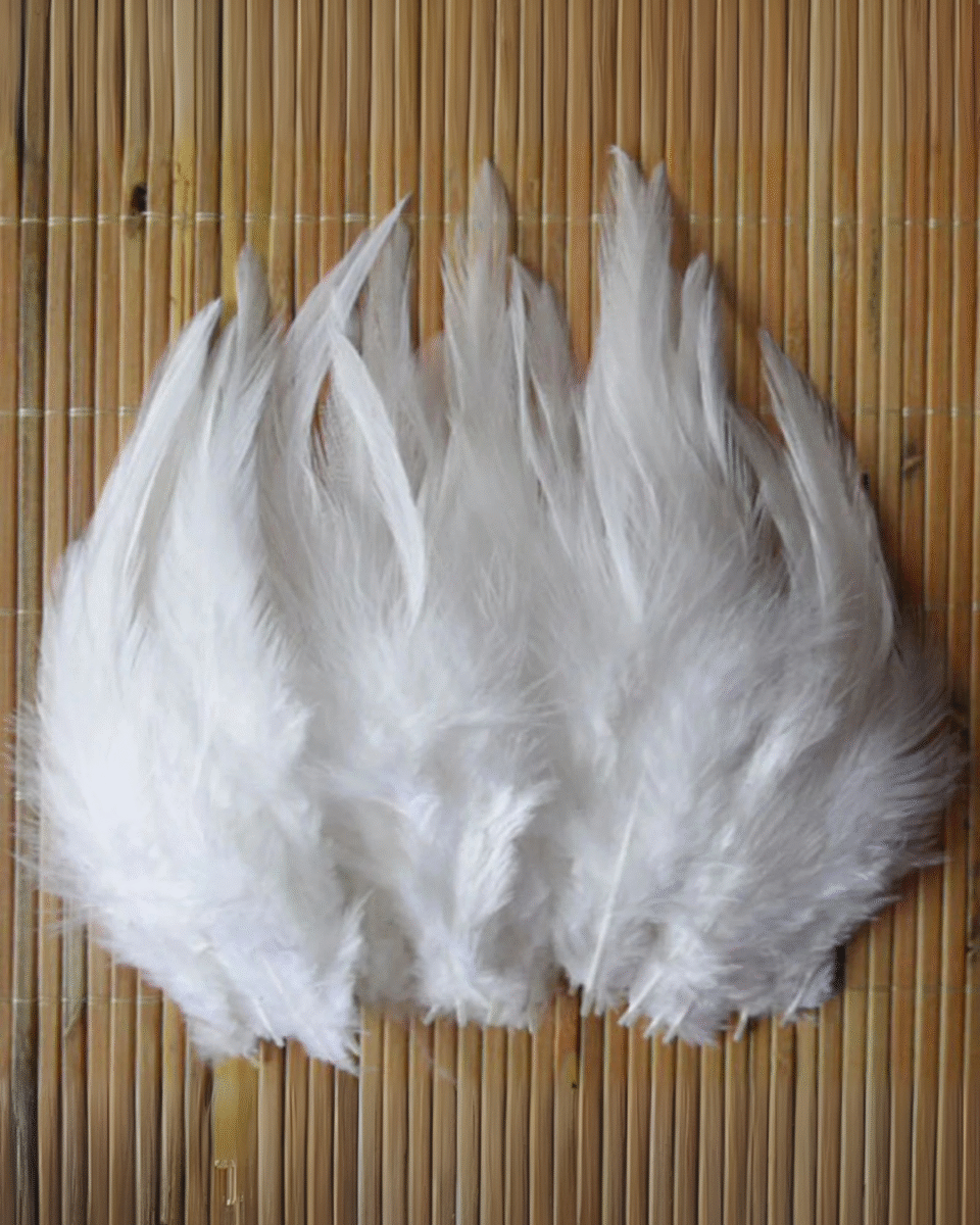 Safawala White Feather Flume (10 pcs) | Groom Turban Kalgi Pagdi Wedding Accessory