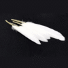 Safawala White Kalgi Feather Set (10 pcs) | Groom Turban Pagdi Wedding Accessory
