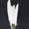 Safawala White Kalgi Feather Set (10 pcs) | Groom Turban Pagdi Wedding Accessory