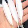 Safawala White Kalgi Feather Set (10 pcs) | Groom Turban Pagdi Wedding Accessory